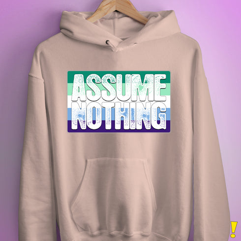 Assume Nothing Gay Male Pride Flag Hoodie - Light Pink